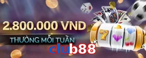 club88